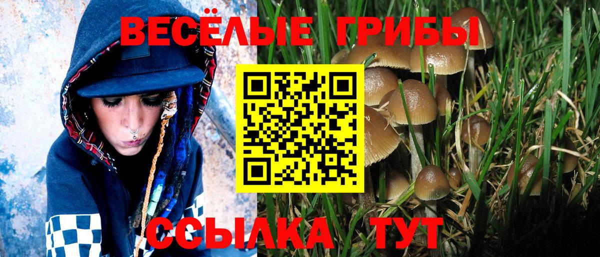 Строитель  где купить наркотик  Вход с VPN  Псилоцибиновые грибы MAGIC MUSHROOMS 