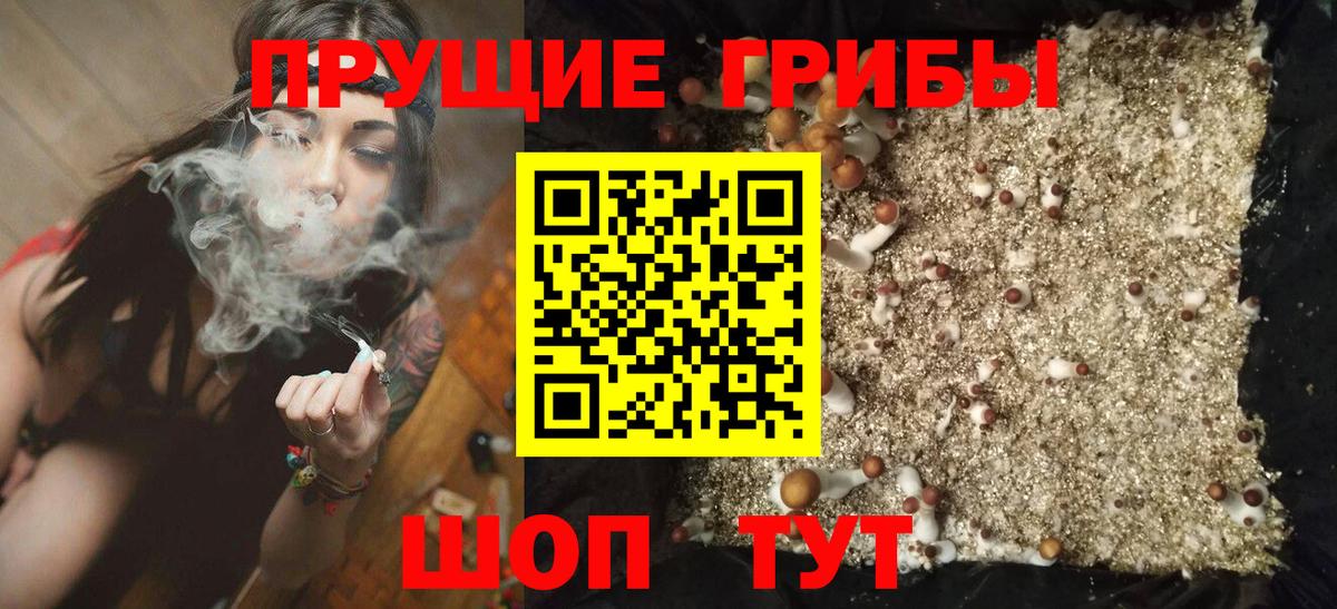 Галлюциногенные грибы MAGIC MUSHROOMS Строитель